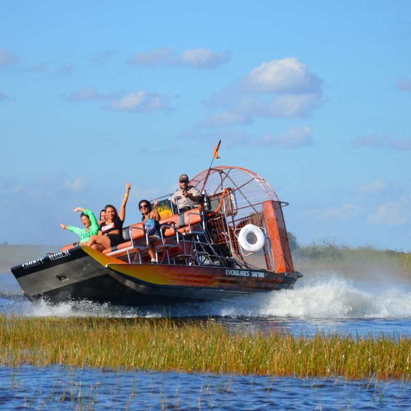 Everglades Tour